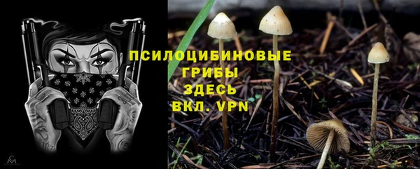 прущая мука Баксан